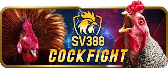 Chương trình VIP sutbong123